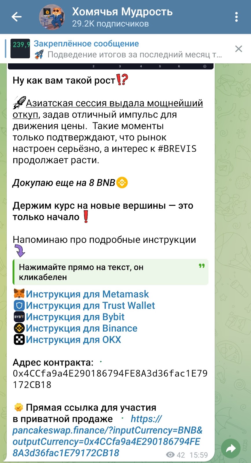 канал хомячья мудрость отзывы канал хомячья мудрость отзывы