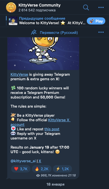 кити верс кити верс