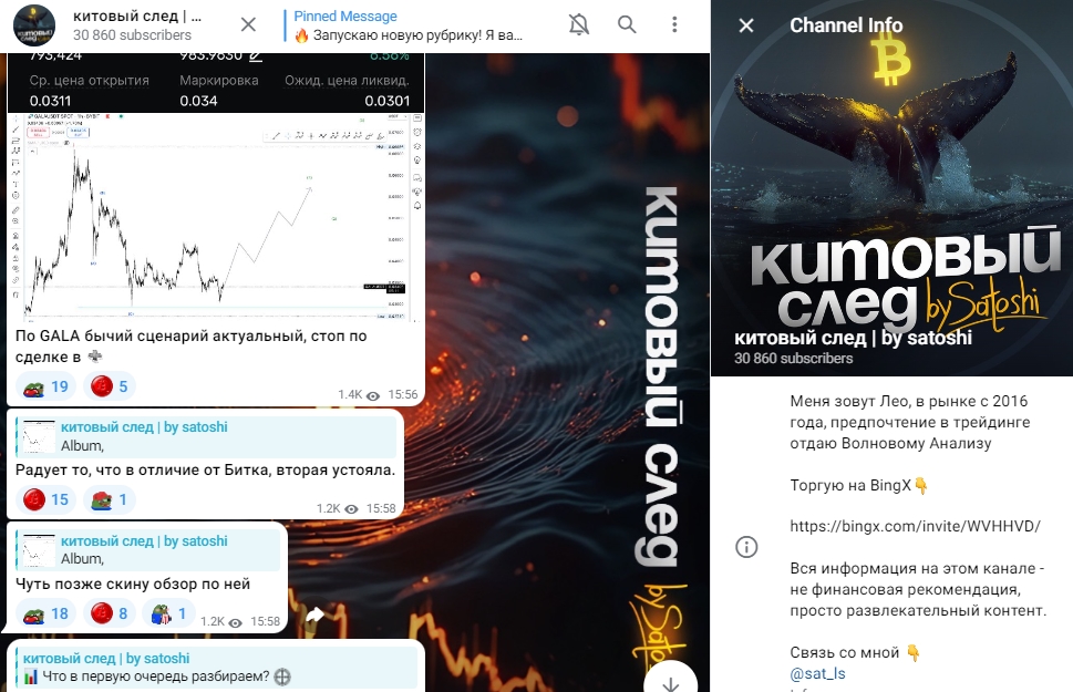 китовый след by satoshi китовый след by satoshi