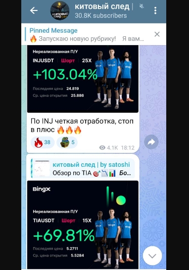 китовый след by satoshi китовый след by satoshi