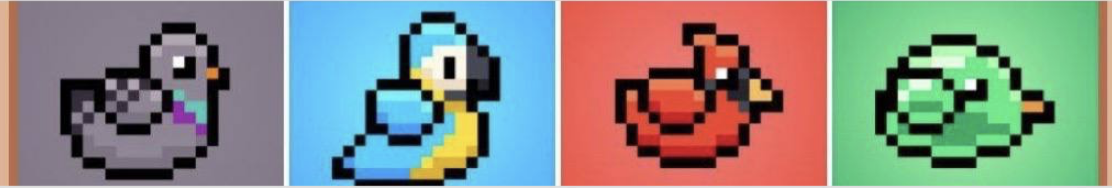 Комбо Bird Ton сегодня Комбо Bird Ton сегодня