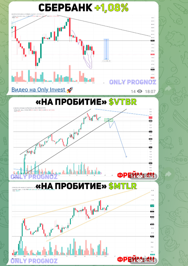 онли прогноз онли прогноз