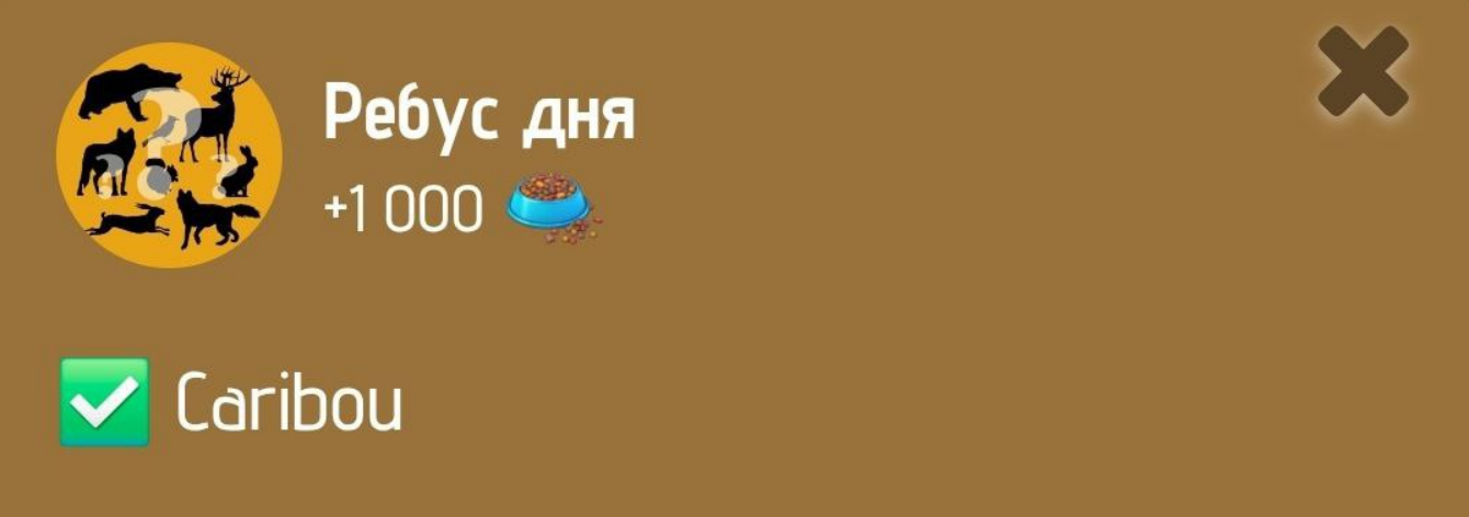 Zoo комбо дня Zoo комбо дня