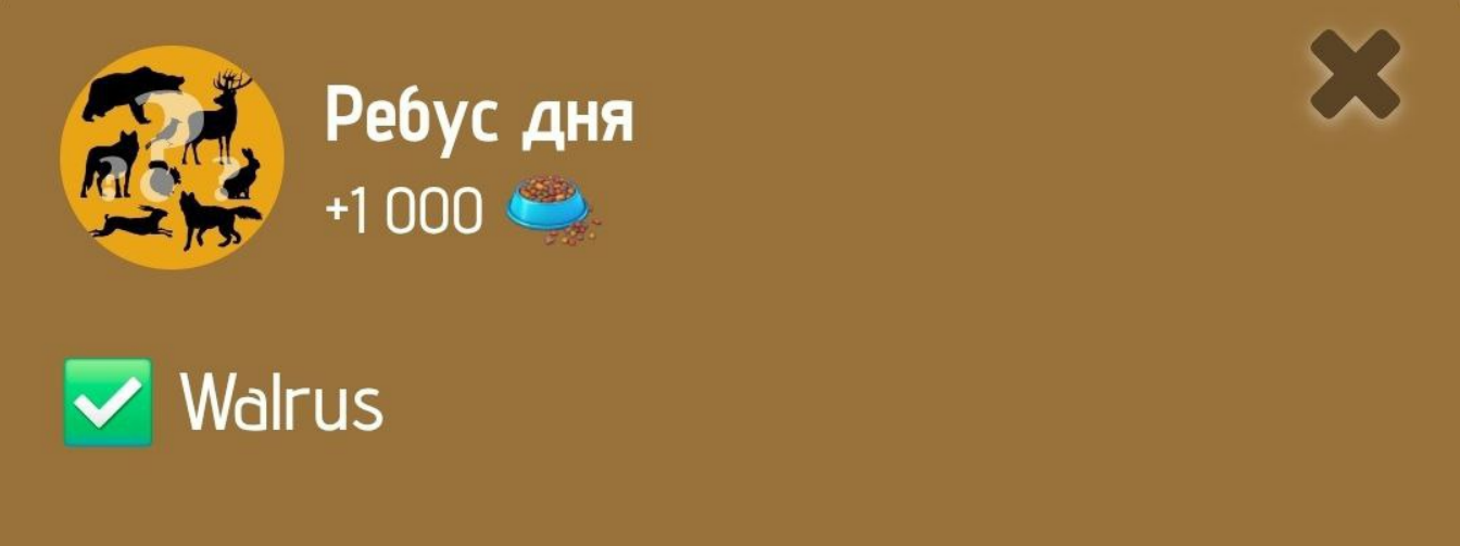 Zoo комбо дня Zoo комбо дня