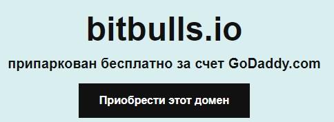 bitbull in bitbull in
