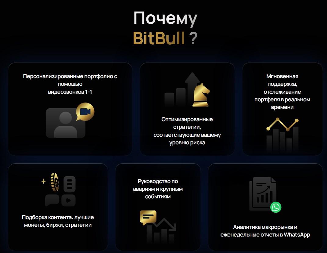 bitbull трейдер bitbull трейдер
