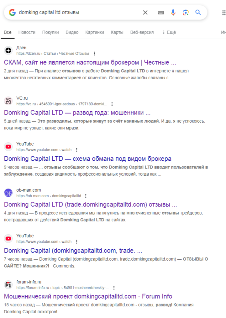 domking capital ltd domking capital ltd
