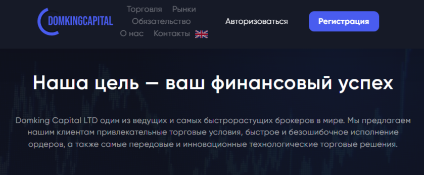 domkingcapitalltd com domkingcapitalltd com