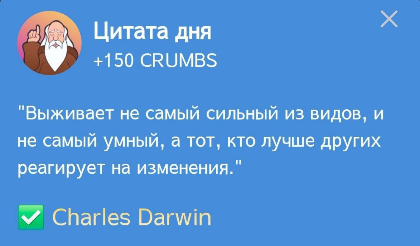 Hrum комбо дня Hrum комбо дня