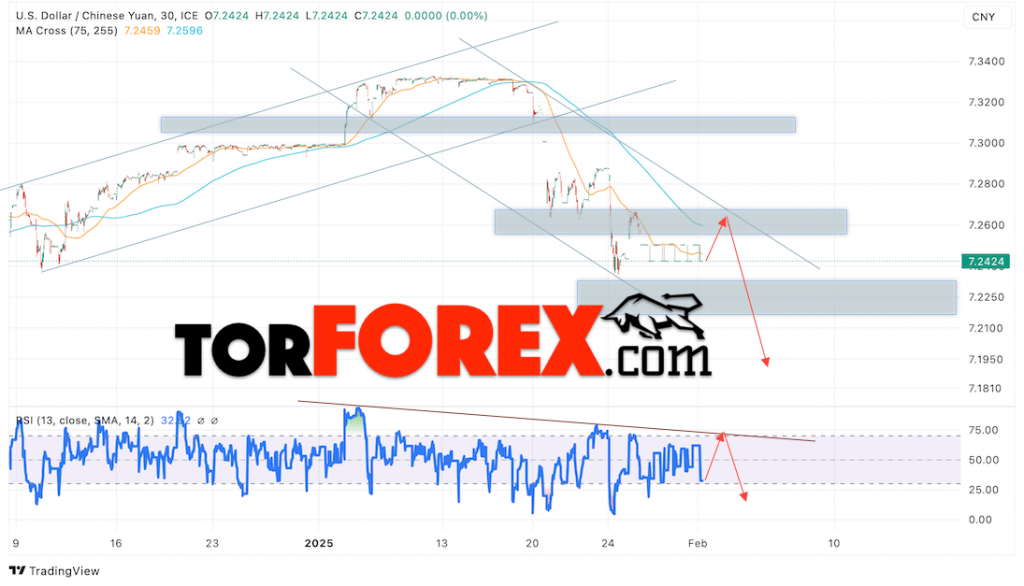 Китайский Юань прогноз на сегодня 4 февраля 2025