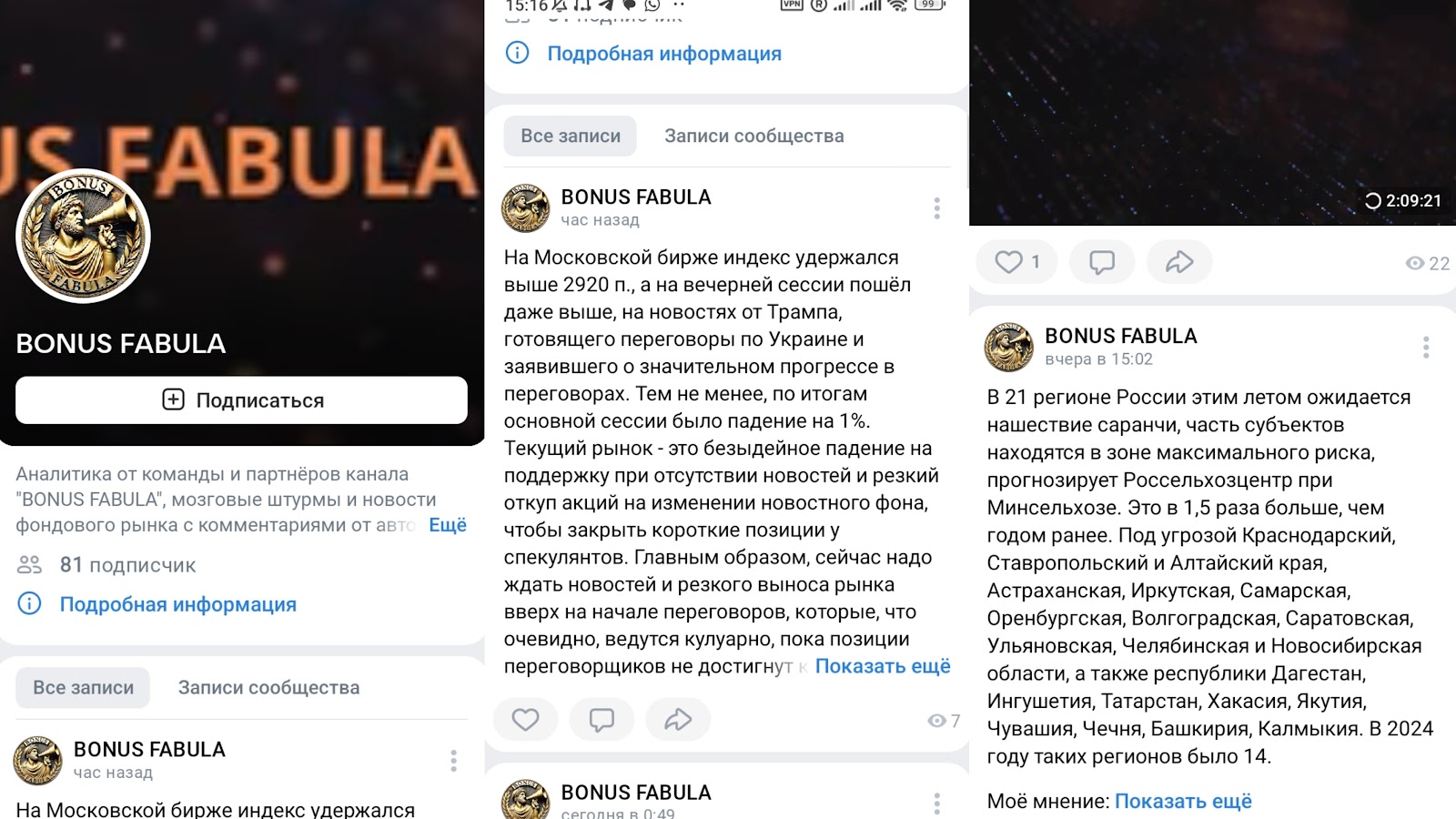 mikko plant mikko plant