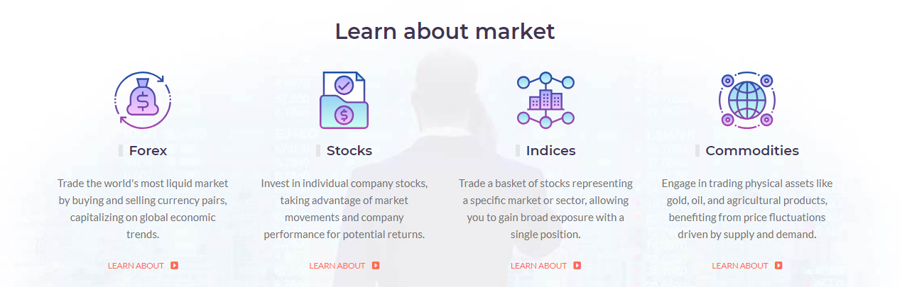 myexpert 100 myexpert 100