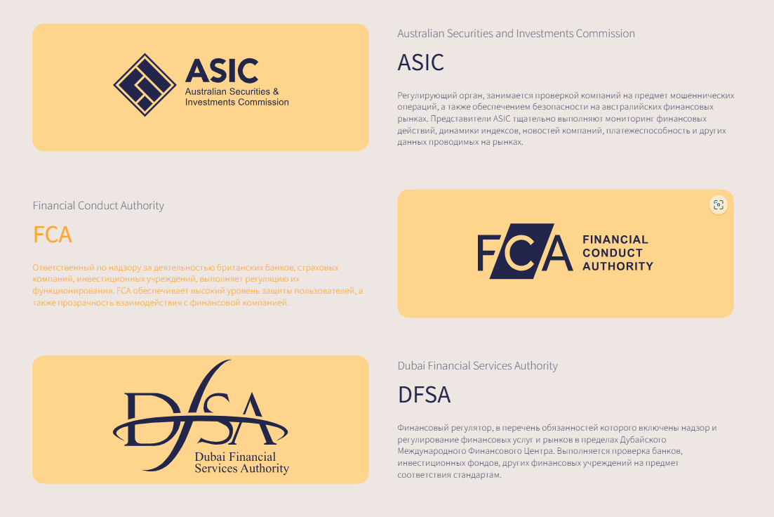 neter vest world neter vest world