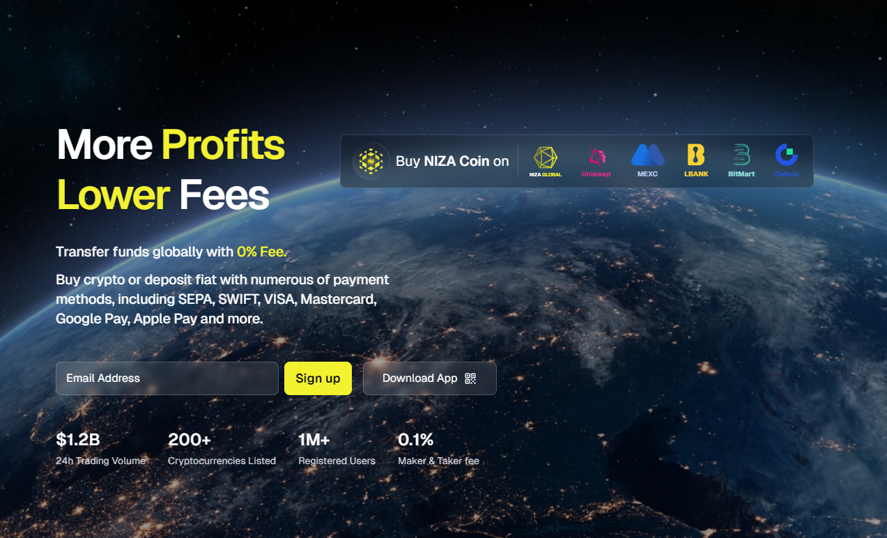 niza global niza global