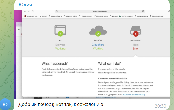 профитминт профитминт