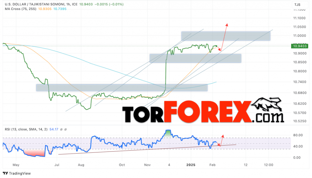 Сомони прогноз на сегодня 11 февраля 2025