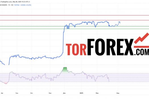 Прогноз Доллар Сомони USD/TJS на 28 февраля 2025