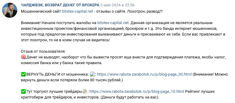 Bitstex Capital Net Bitstex Capital Net