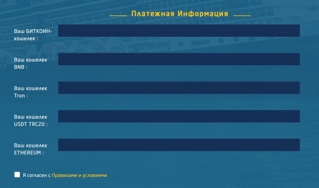 Bitstex Capital Net Bitstex Capital Net