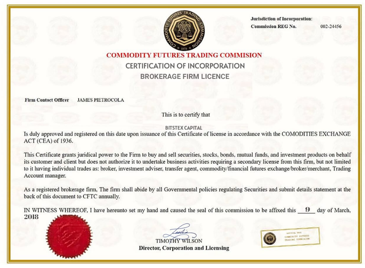 Bitstex Capital Net Bitstex Capital Net