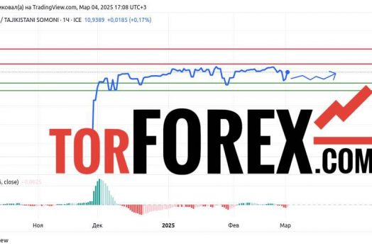 Прогноз Доллар Сомони USD/TJS на 4 марта 2025