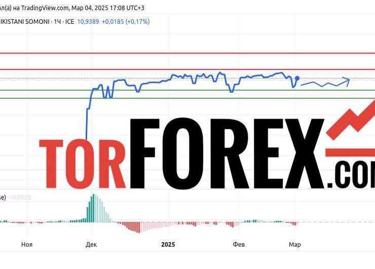 Прогноз Доллар Сомони USD/TJS на 4 марта 2025