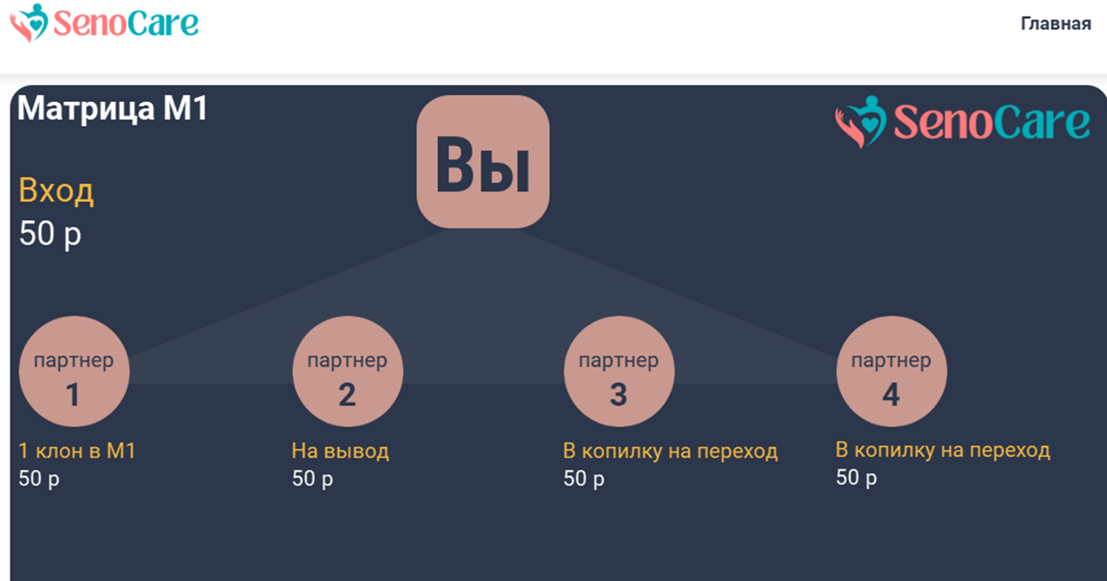 senocare xyz senocare xyz