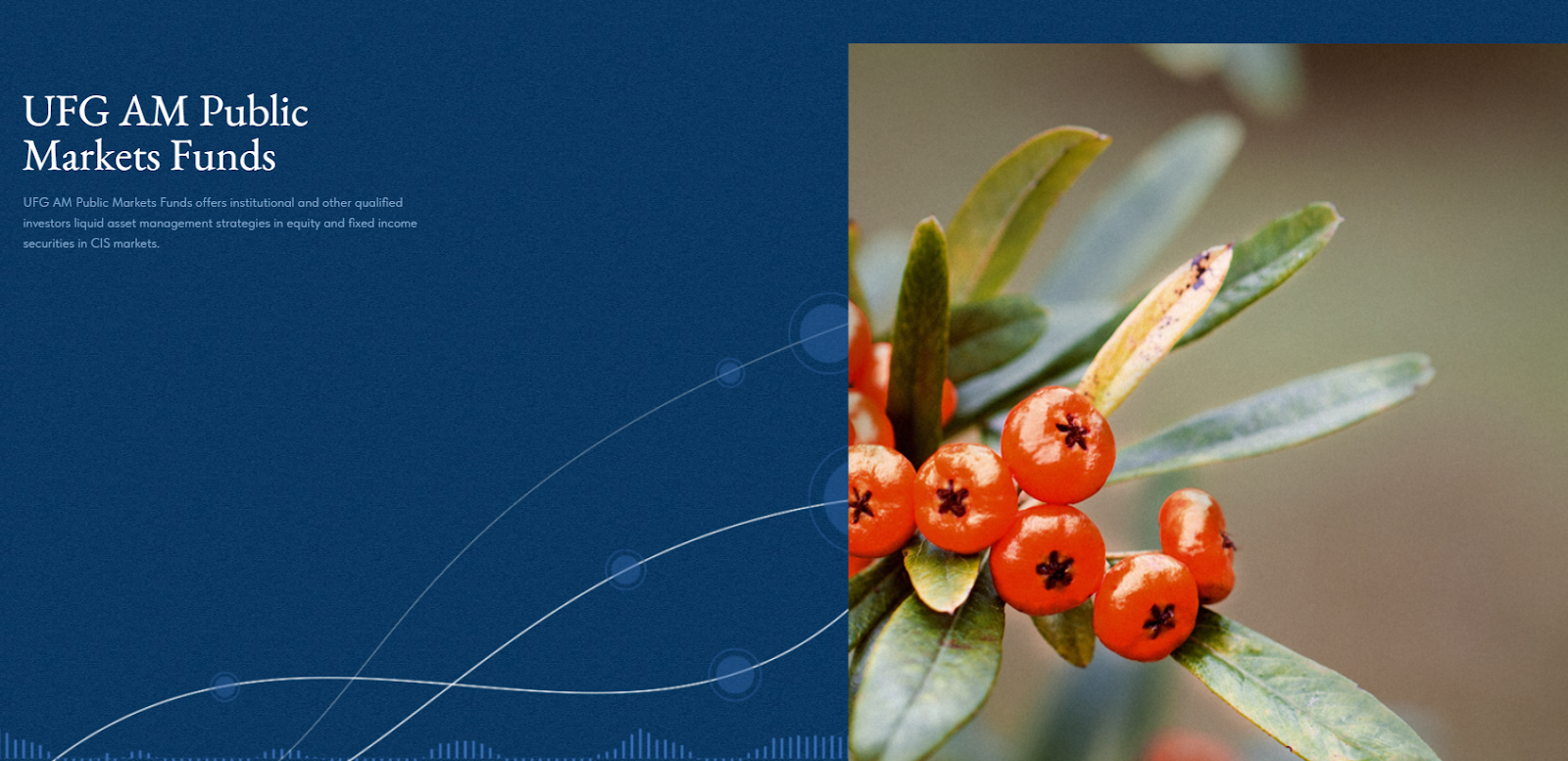 ufg asset management инвестиционная компания ufg asset management инвестиционная компания