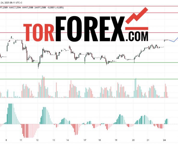 Прогноз Доллар Юань USD/CNY на 24 марта 2025