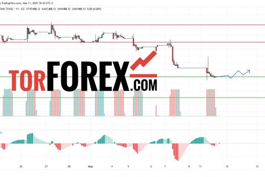 Прогноз Доллар Тенге USD/KZT на 12 марта 2025