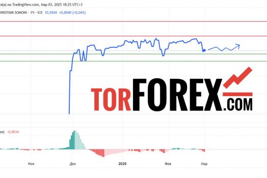 Прогноз Доллар Сомони USD/TJS на 3 марта 2025
