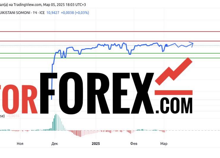Прогноз Доллар Сомони USD/TJS на 6 марта 2025