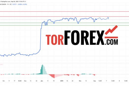 Прогноз Доллар Сомони USD/TJS на 7 марта 2025