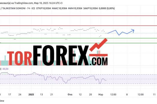 Прогноз Доллар Сомони USD/TJS на 10 и 11 марта 2025