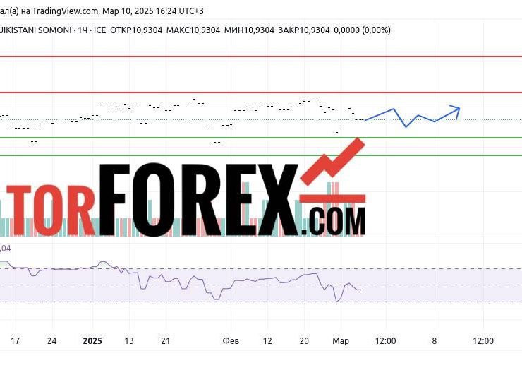 Прогноз Доллар Сомони USD/TJS на 10 и 11 марта 2025
