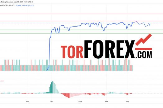 Прогноз Доллар Сомони USD/TJS на 12 марта 2025