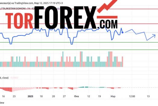 Прогноз Доллар Сомони USD/TJS на 13 марта 2025
