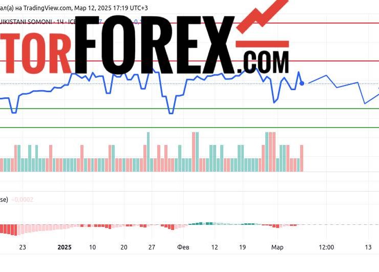 Прогноз Доллар Сомони USD/TJS на 13 марта 2025