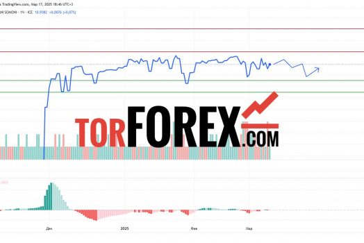 Прогноз Доллар Сомони USD/TJS на 17 и 18 марта 2025