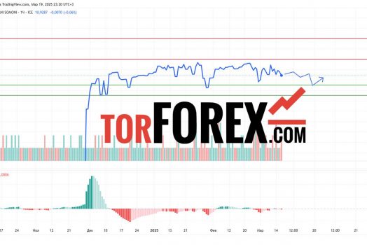 Прогноз Доллар Сомони USD/TJS на 20 марта 2025