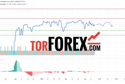 Прогноз Доллар Сомони USD/TJS на 24 марта 2025