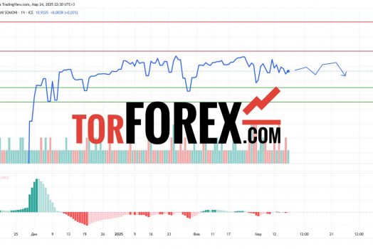 Прогноз Доллар Сомони USD/TJS на 25 марта 2025