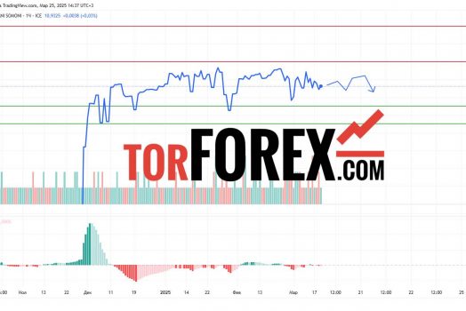 Прогноз Доллар Сомони USD/TJS на 26 марта 2025