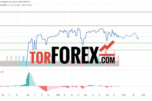 Прогноз Доллар Сомони USD/TJS на 28 марта 2025