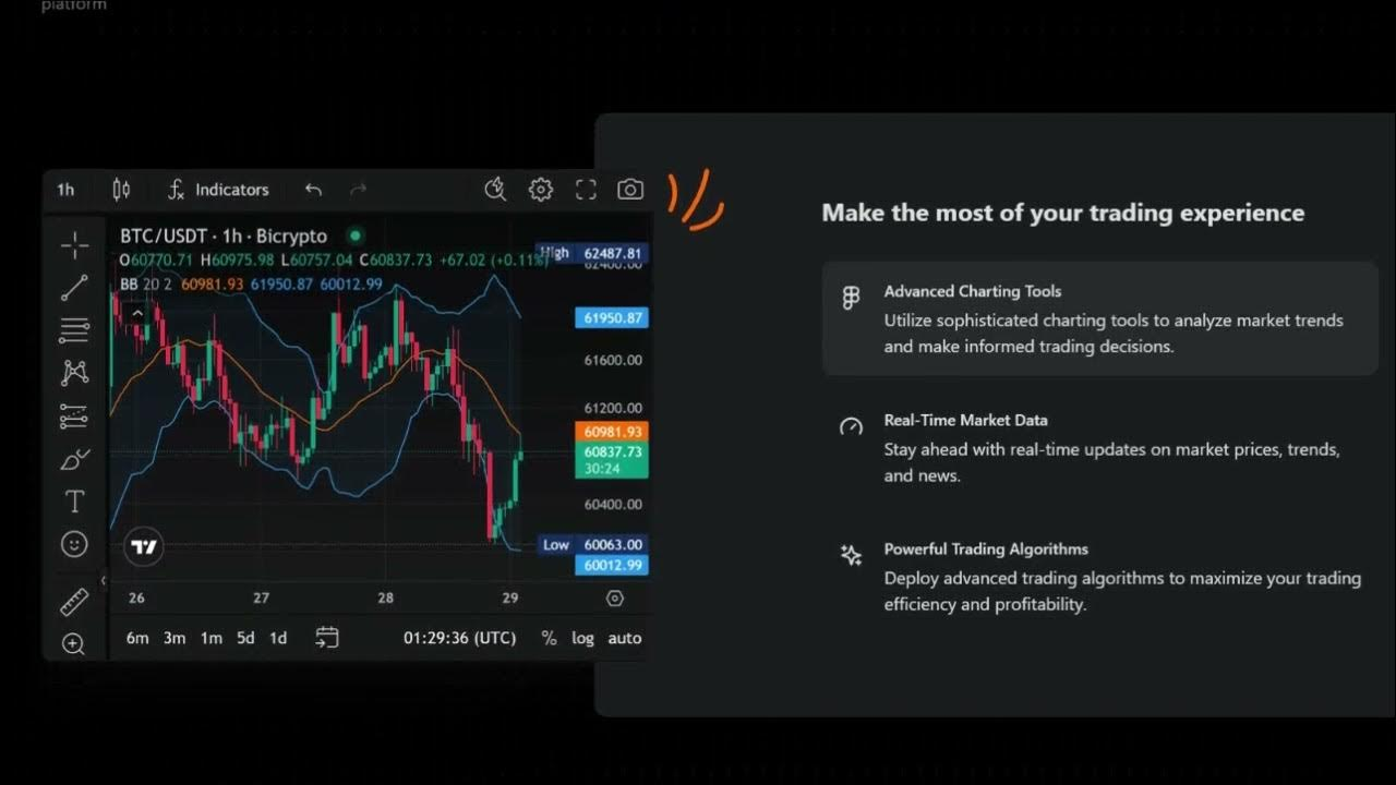 binoria net binoria net