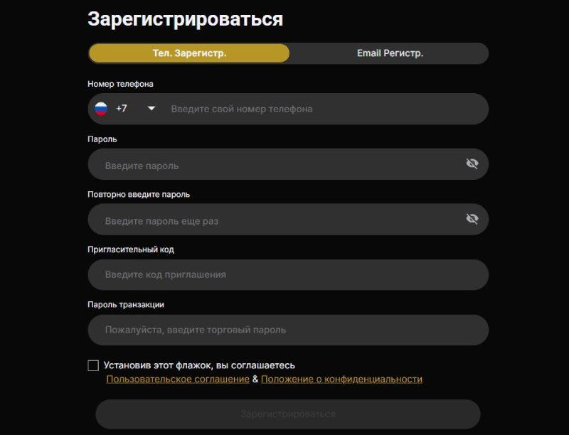 Explorer X Explorer X