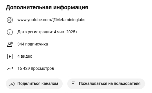 metamininglabs metamininglabs