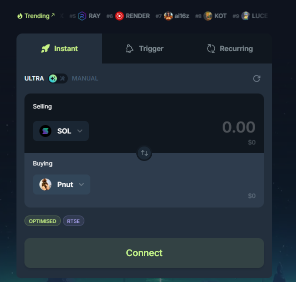 peanut the squirrel coin peanut the squirrel coin