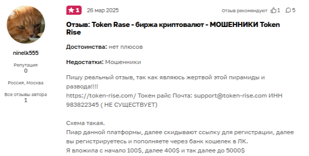 токенрайс токенрайс