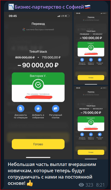 бизнес партнерство с софией отзывы бизнес партнерство с софией отзывы